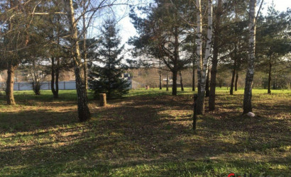 Купить участок, Столбцы, участок, 10 соток. Фото 9