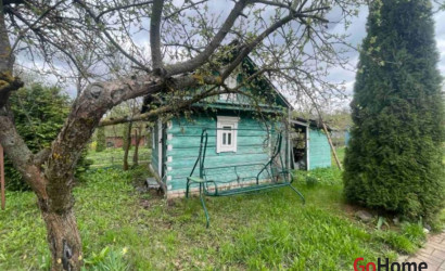 Купить дом в деревне, ЖЕЛЕЗНЯКИ-1, 8.6 соток. Фото 9