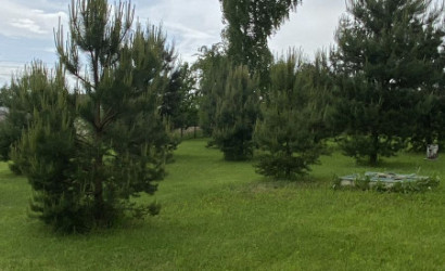 Купить дом, Ольгово, Дачная, 23.78 соток. Фото 29