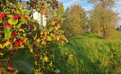 Купить дом, Шумилино, Дзержинского, 14 соток. Фото 4