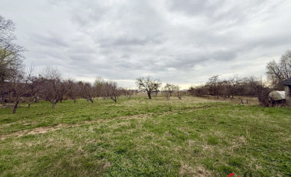 Купить участок, Адамовичи, 57 соток. Фото 7