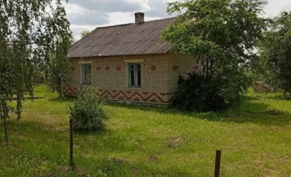  55 м2, Озерница