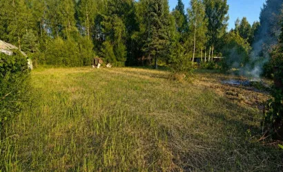  Бибиревка