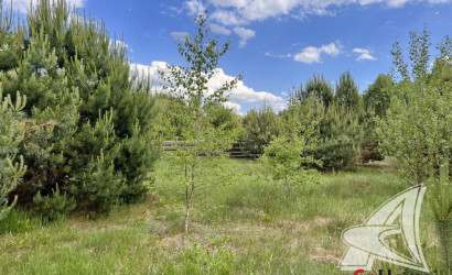 Купить дом, Дубица, Домачевский с/с, 24.96 соток. Фото 4