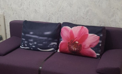 Снять 1-комнатную квартиру, Минск, просп. газеты Звязда, д. 48  (Московский район). Фото 8