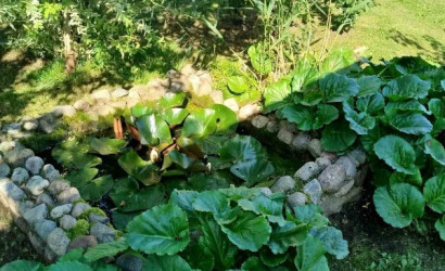 Купить дачу, Витебск, 18, садоводческое товарищество Цыбулька, Октябрьский сельсовет, Витебский район, Витебская область, 10 соток. Фото 5