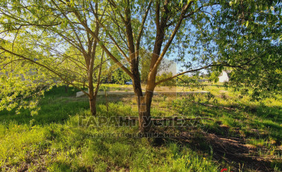 Купить дачу, Бульково, Тельминский с/с, 10 соток. Фото 17