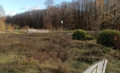 Купить дом в деревне, Горошковка 1, Каменюкский с/с, 25 соток. Фото 32