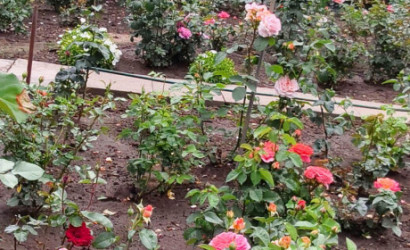 Купить дом в деревне, АЭРОФЛОТ, 6.04 соток. Фото 33