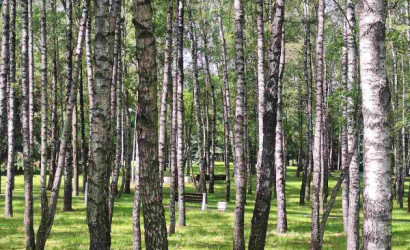 Купить 2-комнатную квартиру, Минск, Ольшевского, 47(Фрунзенский район). Фото 20