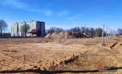  Сеница