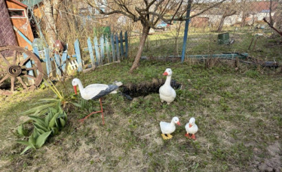 Купить 5-комнатную квартиру, СТ Педагог, Солнечная, 8. Фото 25