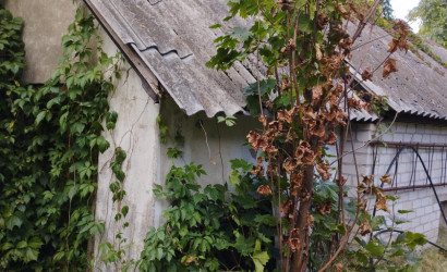 Купить дом, Лида, Победы просп., 207, 35 соток. Фото 17