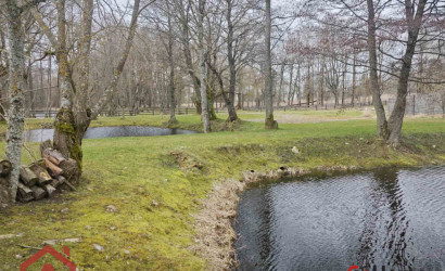 Купить дом, Стайки, Центральная, 20.57 соток. Фото 33