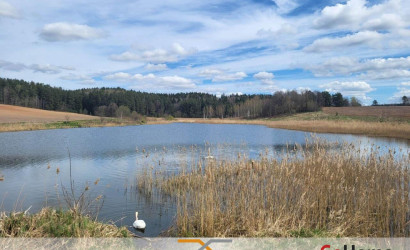 Купить дом в деревне, Факел-Третий век, 9.78 соток. Фото 34