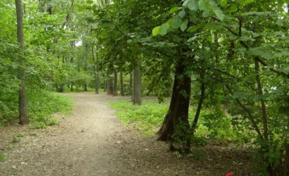 Купить дом в деревне, Дубовый Лес, 4 соток. Фото 14