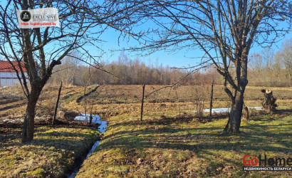 Купить дом, Бельчица, Заречная ул., 6, 60 соток. Фото 13