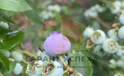 Купить участок, Лешница, Радваничский с/с, 5.85 соток. Фото 8