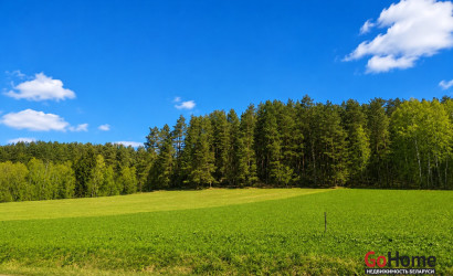 Купить участок, Вяча, ул. Лесная, д. 12, 20 соток. Фото 10