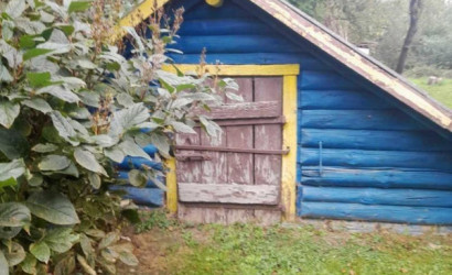 Купить дом, Заболотье, Пролетарская ул., 20 соток. Фото 8