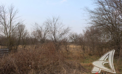 Купить участок, Зеленец, Чернавчицкий с/с, 48.97 соток. Фото 4