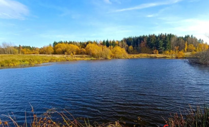 Купить участок, Гиревичи, 25 соток. Фото 13