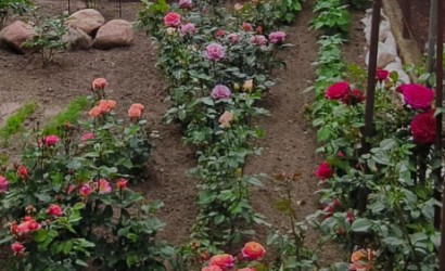 Купить дом в деревне, АЭРОФЛОТ, 6.04 соток. Фото 34