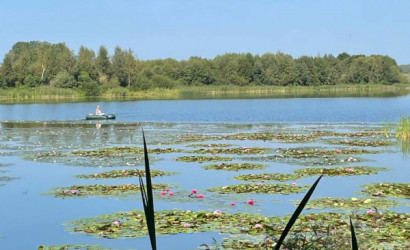 Купить дом, Осиновка, 1-й Осиновский, 3, 24.99 соток. Фото 22