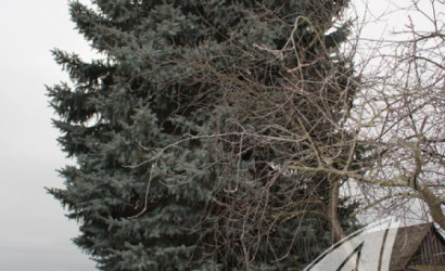 Купить дом, Заболотье, Мухавецкий с/с, 29 соток. Фото 24