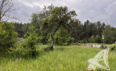 Купить участок, Гули, Мухавецкий с/с, 25 соток. Фото 13