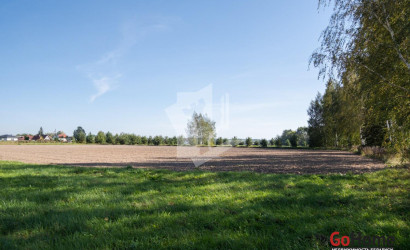 Продажа склада, Бакиново, Новая ул., 1,  515.9 кв.м.. Фото 23