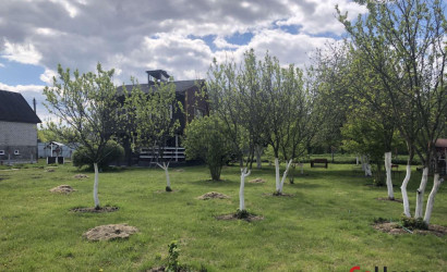 Купить участок, Минута, 8.74 соток. Фото 3