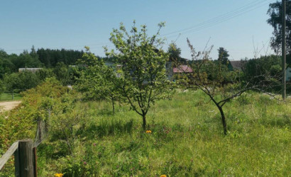 Купить дачу, Городок, Садовое товарищество Лесное, 12.5 соток. Фото 8