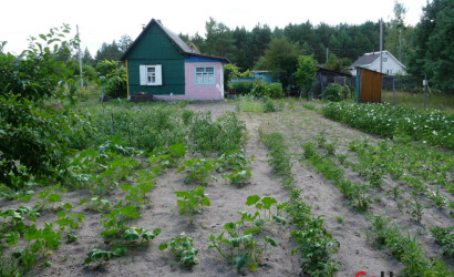 Купить дачу, Марковичи, СТ «Сосновый бор-2», 12.4 соток. Фото 9