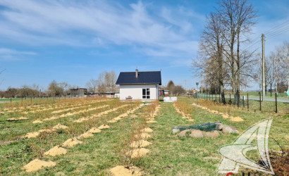 Купить дом, Залузье, Жабинковский с/с, 19.68 соток. Фото 3