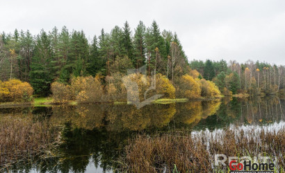 Купить дом в деревне, Зеленый дол, 4.37 соток. Фото 33