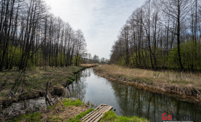 Купить участок, Калинино, 46.65 соток. Фото 32