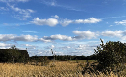 Купить дом, Слобода, Зелёная , 18, 9.06 соток. Фото 18