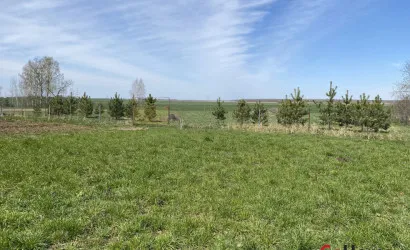  69.1 м2, Поддубье