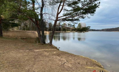 Купить участок, Будачи, 45 соток. Фото 9