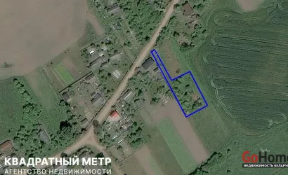  Цитва