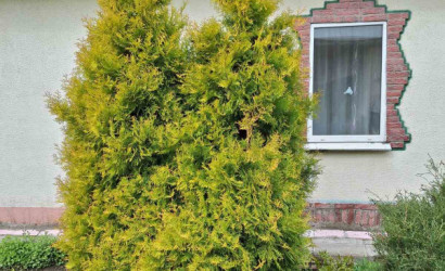 Купить дом, Мичуринская, Дружбы, 14 соток. Фото 7