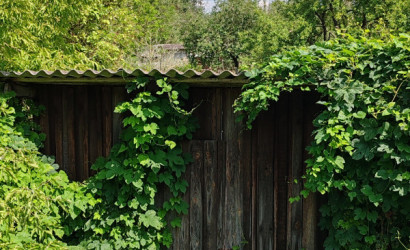 Купить 1-комнатную квартиру, Россь, ул. Совхозная, 3. Фото 18