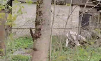 Купить дом, Витебск, Заводская, 21.63 соток. Фото 6