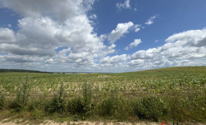 Купить дачу, СТ Лазурное, 7.94 соток. Фото 13