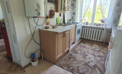 Купить дом, Красный Берег, Белорусская, 22, 19.6 соток. Фото 9