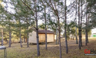 Купить дачу, Засулье, Ст КГБ Колос, 10 соток. Фото 3