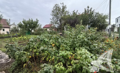 Купить дачу, Брест, Мухавецкий с/с, 4.15 соток. Фото 13