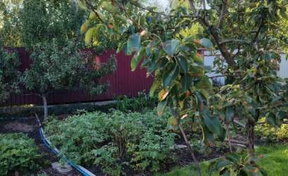 Купить дом в деревне, Метрострой, 5 соток. Фото 6