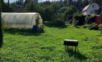 Купить дачу, СТ Виктория, 10.37 соток. Фото 10